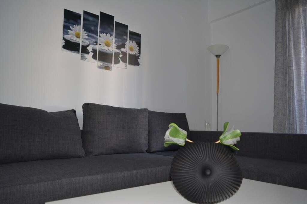 Pagrati Apartment Διαμέρισμα Παγκράτι 아테네 외부 사진